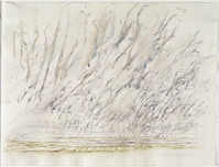 KT 2006 114
          <br/>
          Boven de Waal
          <br/>
          <em>Ouden, Willem den (1928)</em>